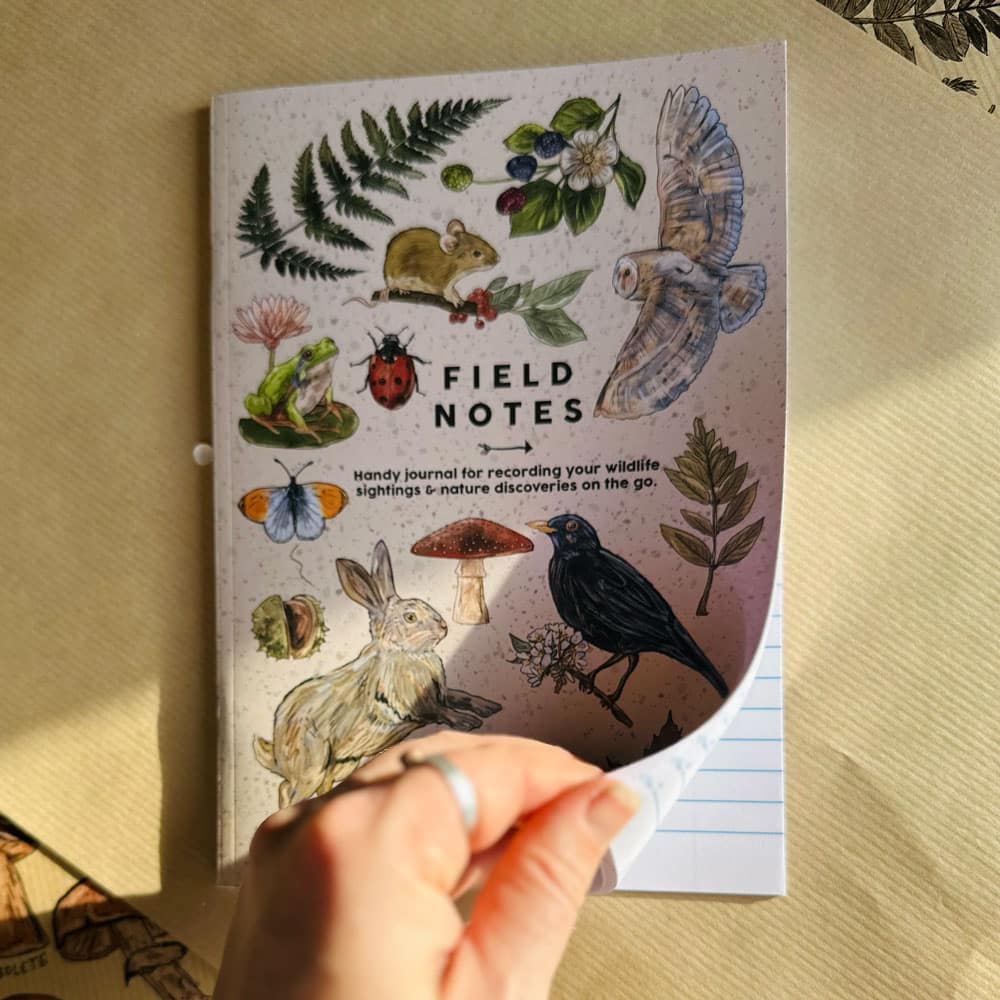 field-notes-booklet.jpg