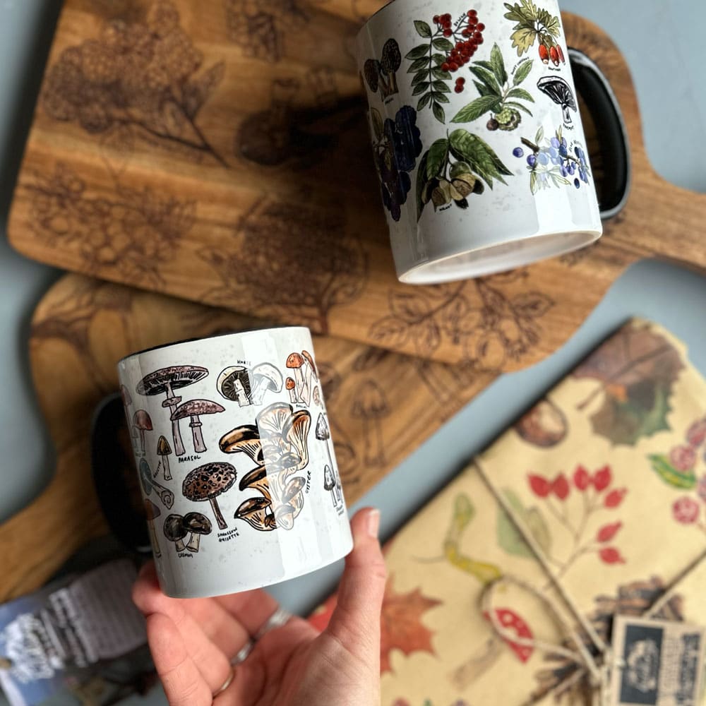 fungi-foraging-mugs1.jpg
