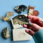 hedgehog-brooch-2.jpg