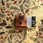 toadstool-foraging-gift-wrap.jpg