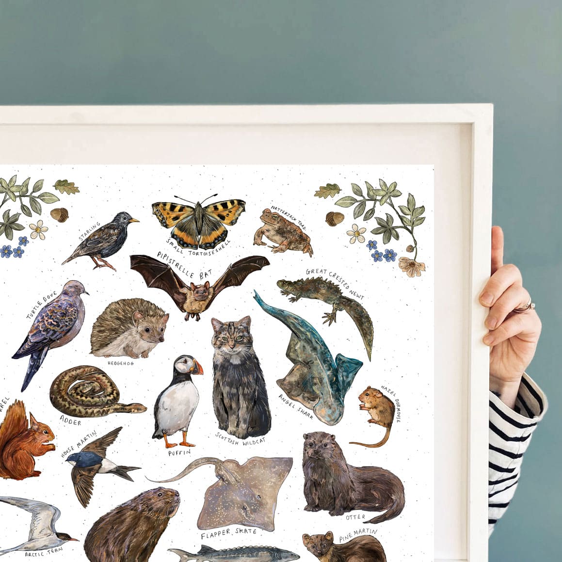 uk-endangered-animals-3.jpg