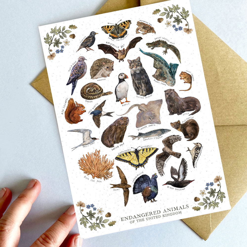 uk-endangered-animals-card.jpg