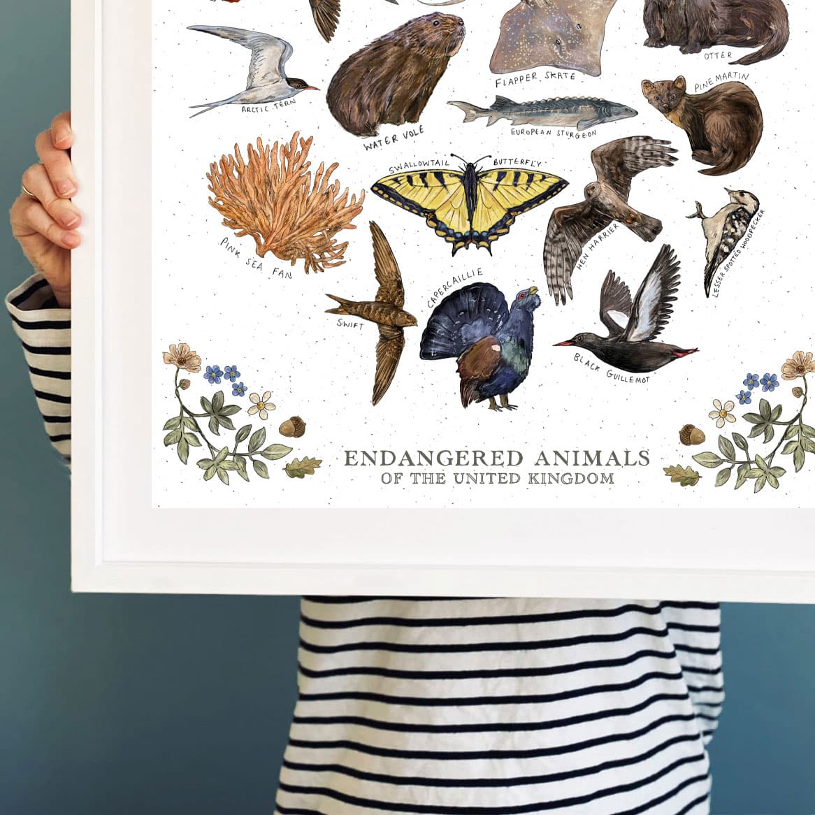 uk-endangered-animals-white-frame.jpg